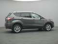 Ford Kuga Titanium 150PS Easy-Driver&Winter-Paket Gris - thumbnail 45