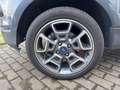Ford EcoSport Titanium- Service Ford- 1 Jahr Garantie Grau - thumbnail 15