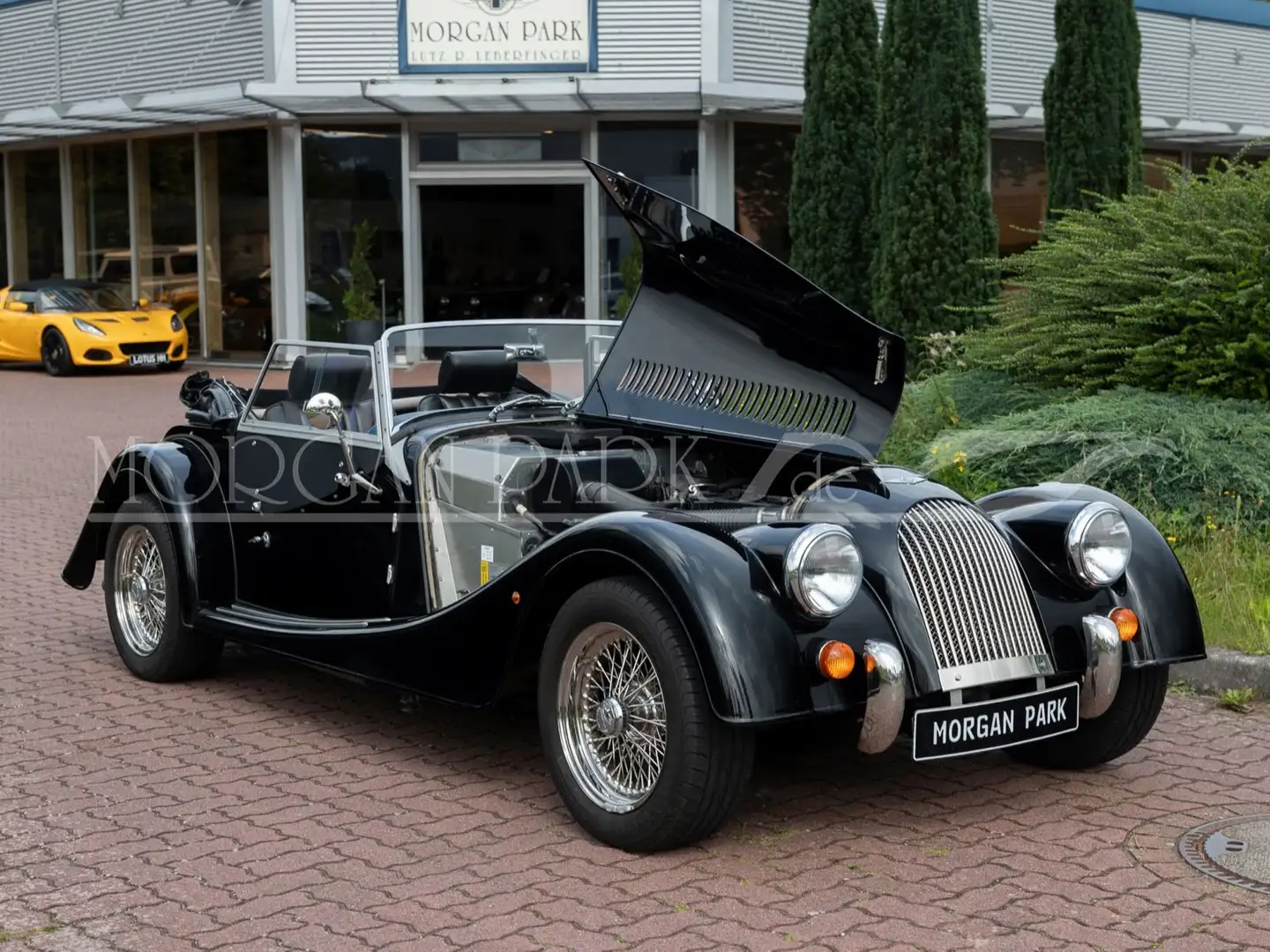 Morgan Plus 4 *Sport Black* Чорний - 2