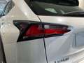 Lexus NX 300 300h Executive 4WD Tecno Alb - thumbnail 24