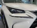 Lexus NX 300 300h Executive 4WD Tecno Blanc - thumbnail 7