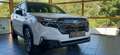 Subaru Forester 2.0ie Premium 2026! Blanc - thumbnail 4