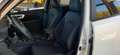 Subaru Forester 2.0ie Premium 2026! Blanc - thumbnail 2