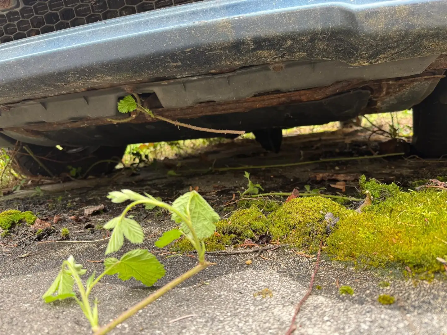 Hyundai Trajet Trajet 2,0 LaVita CRDi LaVita - 1