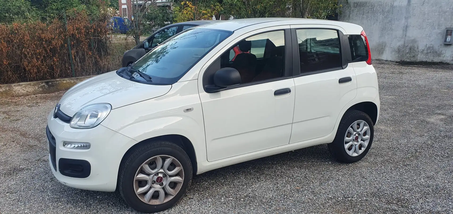 Fiat Panda Panda 1.0 firefly hybrid Edition Bianco - 1