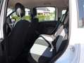 Fiat Panda 0.9 TwinAir Lounge | AUTOMAAT | Climate Control | Blanc - thumbnail 17