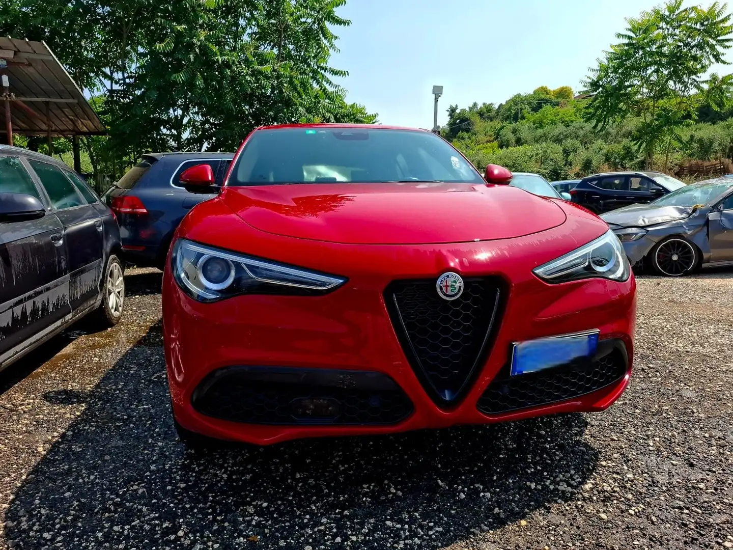Alfa Romeo Stelvio Stelvio 2020 2.2 t Veloce Q4 210cv - 1