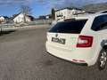 Skoda Rapid/Spaceback Rapid Spaceback 1,6 TDI Elegance Green tec - thumbnail 6