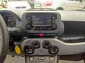 Fiat Panda 1.0cc HYBRID CITYLIFE 70cv Grigio - thumbnail 14