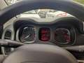 Fiat Panda 1.0cc HYBRID CITYLIFE 70cv Grigio - thumbnail 10