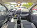 Fiat Panda 1.0cc HYBRID CITYLIFE 70cv Grigio - thumbnail 9