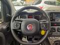 Fiat Panda 1.0cc HYBRID CITYLIFE 70cv Grigio - thumbnail 12