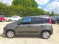Fiat Panda 1.0cc HYBRID CITYLIFE 70cv Grigio - thumbnail 6