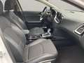 Kia XCeed 1.6 Spirit LED+Navi+SHZ+2xKlima+Kam.+LM Weiß - thumbnail 16