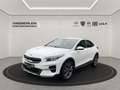 Kia XCeed 1.6 Spirit LED+Navi+SHZ+2xKlima+Kam.+LM Weiß - thumbnail 2