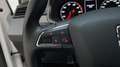 SEAT Ibiza 1.0 TSI Style Business Intense Climate Control Nav Blanc - thumbnail 18