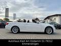 BMW 330 i Cabrio M Paket Facelift Automatik Blanco - thumbnail 7