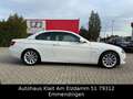 BMW 330 i Cabrio M Paket Facelift Automatik Blanco - thumbnail 20