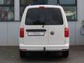 Volkswagen Caddy 2,0 TDI Autom. Touchscreen PDC 7-Sitzer Weiß - thumbnail 6