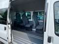 Ford Transit Bus H3-L3 ,,Behindertenfahrzeug“ Beyaz - thumbnail 4