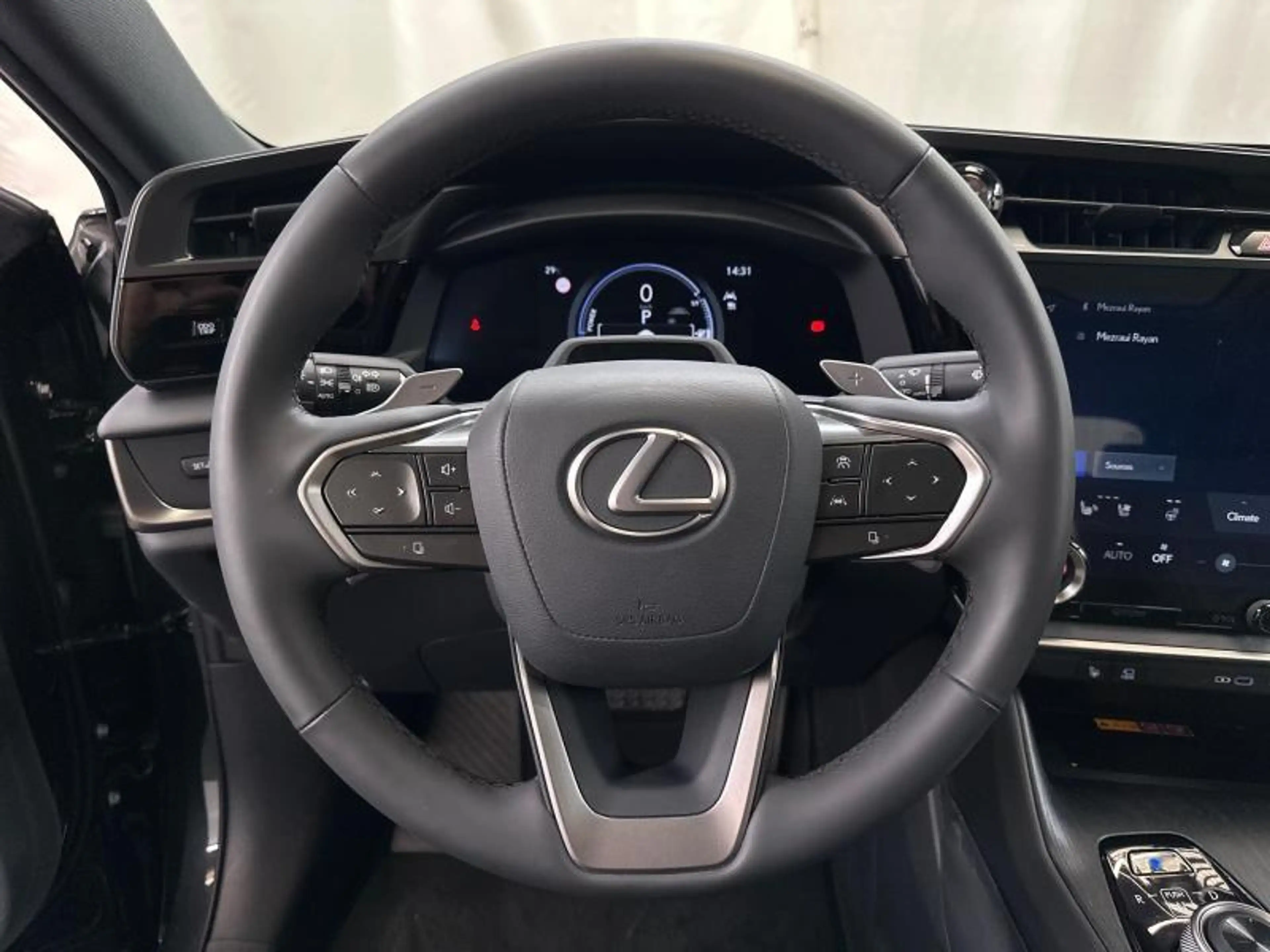 Lexus RZ Privilege Line AWD — photo 20