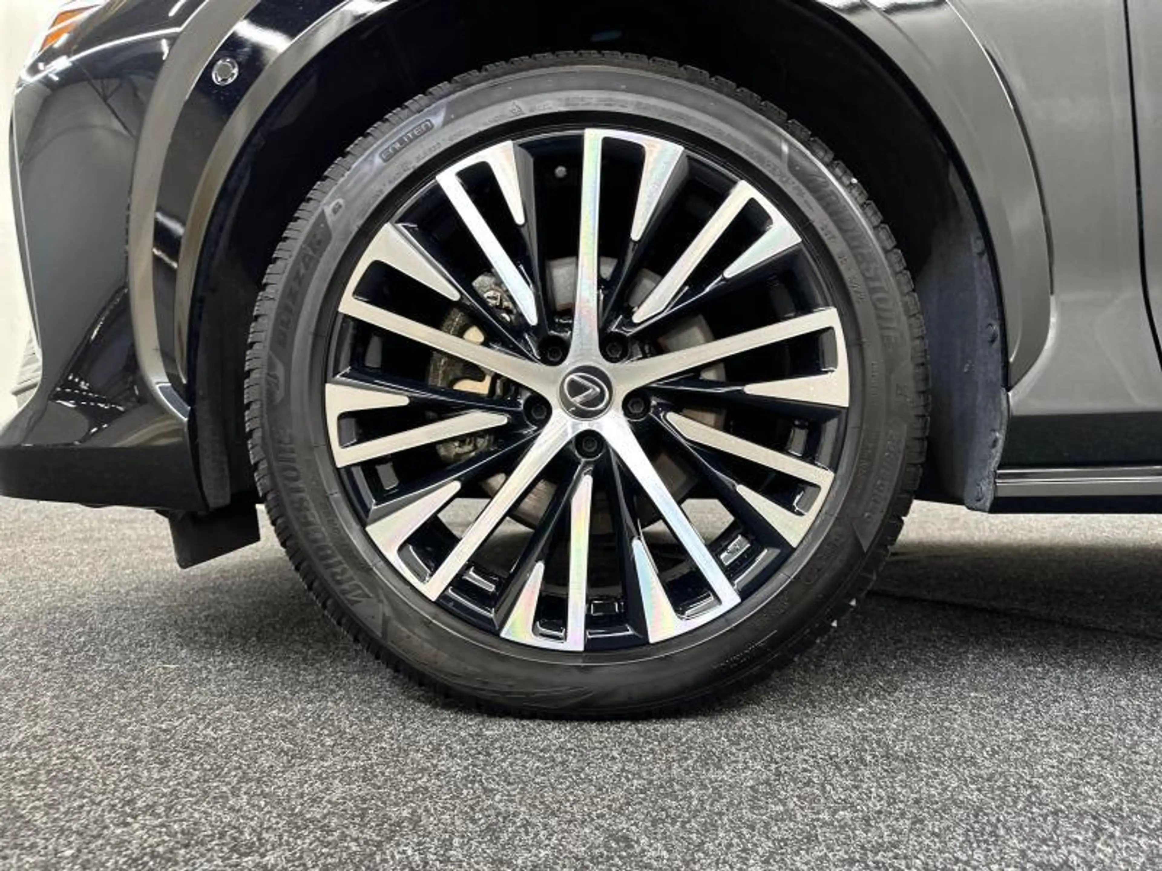 Lexus RZ Privilege Line AWD — photo 13