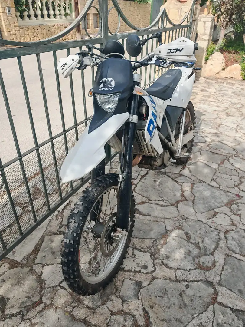 BMW G 450 X Blanco - 2