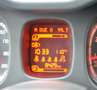 Fiat Panda Panda 1.2 Easy s Weiß - thumbnail 13