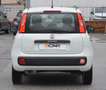 Fiat Panda Panda 1.2 Easy s Weiß - thumbnail 17