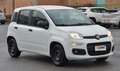 Fiat Panda Panda 1.2 Easy s Weiß - thumbnail 4