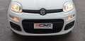 Fiat Panda Panda 1.2 Easy s Weiß - thumbnail 20