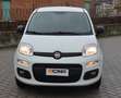 Fiat Panda Panda 1.2 Easy s Weiß - thumbnail 5