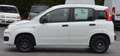 Fiat Panda Panda 1.2 Easy s Weiß - thumbnail 16