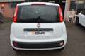 Fiat Panda Panda 1.2 Easy s Weiß - thumbnail 23