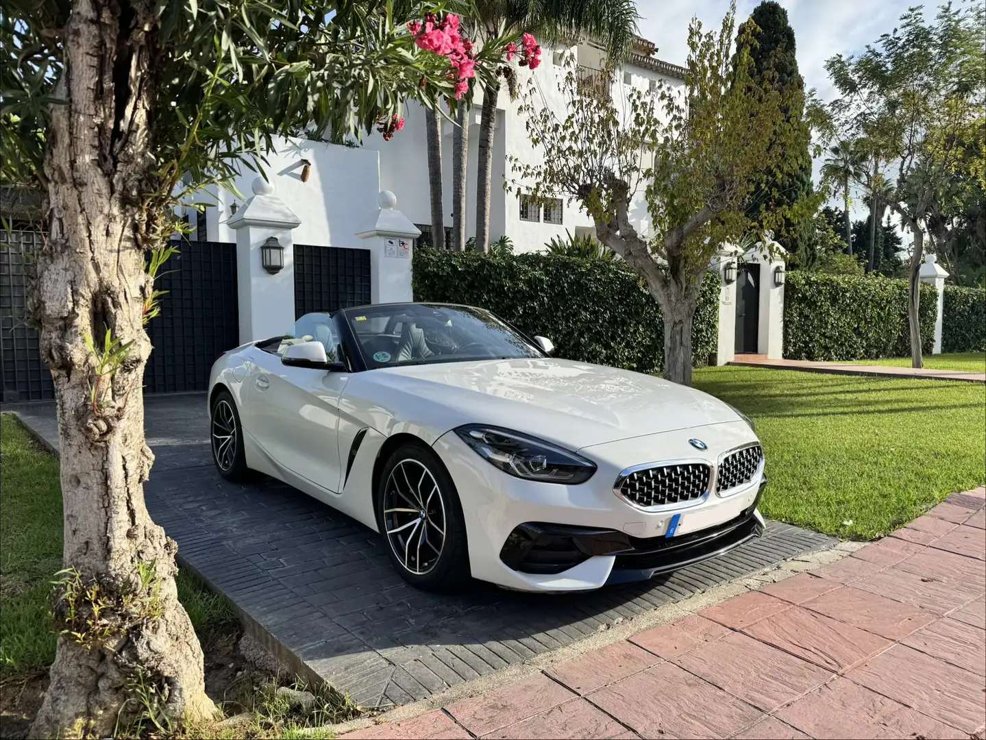 BMW Z4 sDrive 20iA - 1