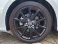 Toyota Yaris 1.5 Hybrid Executive Black&White | Stoelverwarming - thumbnail 6
