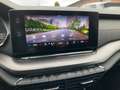 Skoda Octavia 4x4 RS Plus 2.0 TDI HUD AHK Navi Kamera Weiß - thumbnail 25