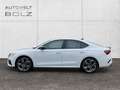 Skoda Octavia 4x4 RS Plus 2.0 TDI HUD AHK Navi Kamera Weiß - thumbnail 7