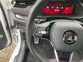 Skoda Octavia 4x4 RS Plus 2.0 TDI HUD AHK Navi Kamera Weiß - thumbnail 22