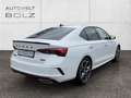 Skoda Octavia 4x4 RS Plus 2.0 TDI HUD AHK Navi Kamera Weiß - thumbnail 4