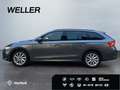 Skoda Octavia Combi 2.0 TDI DSG Selection *Matrix*AHK* Grau - thumbnail 5