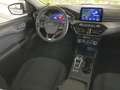 Ford Kuga Titanium Glasdach Navi 2xKamera PDC Sitzheiz Bianco - thumbnail 16