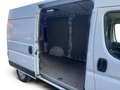 Fiat E-Ducato 35 L2H2 79 kWh Weiß - thumbnail 13