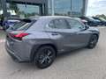 Lexus UX 250h UX Hybrid Executive IVA ESPOSTA COMPRESA Grigio - thumbnail 7