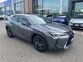 Lexus UX 250h UX Hybrid Executive IVA ESPOSTA COMPRESA Grigio - thumbnail 9