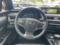 Lexus UX 250h UX Hybrid Executive IVA ESPOSTA COMPRESA Grigio - thumbnail 13