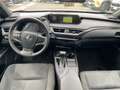 Lexus UX 250h UX Hybrid Executive IVA ESPOSTA COMPRESA Grigio - thumbnail 12
