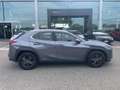 Lexus UX 250h UX Hybrid Executive IVA ESPOSTA COMPRESA Grigio - thumbnail 8