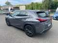 Lexus UX 250h UX Hybrid Executive IVA ESPOSTA COMPRESA Grigio - thumbnail 5