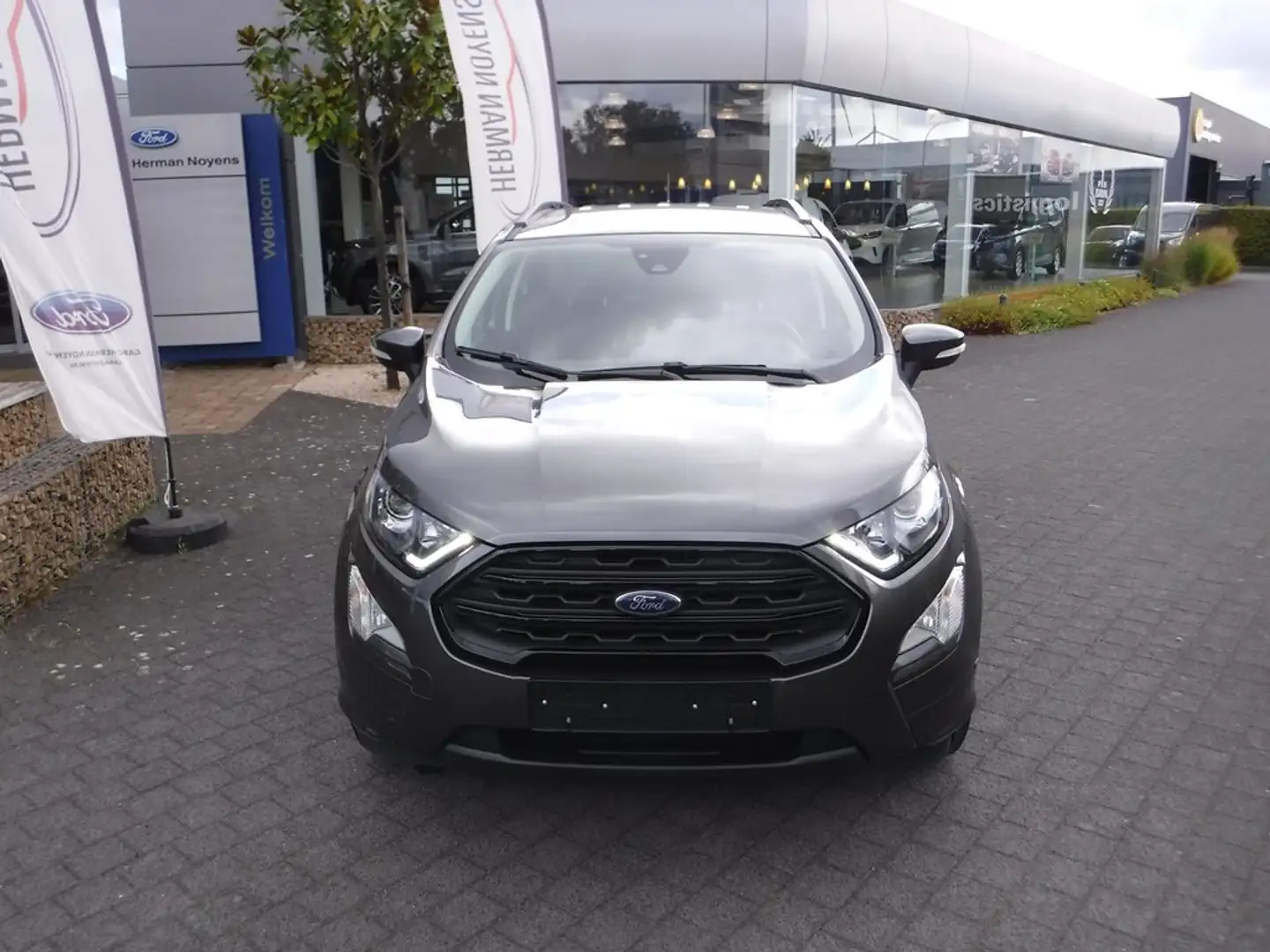 Ford EcoSport ST-line Gris - 2